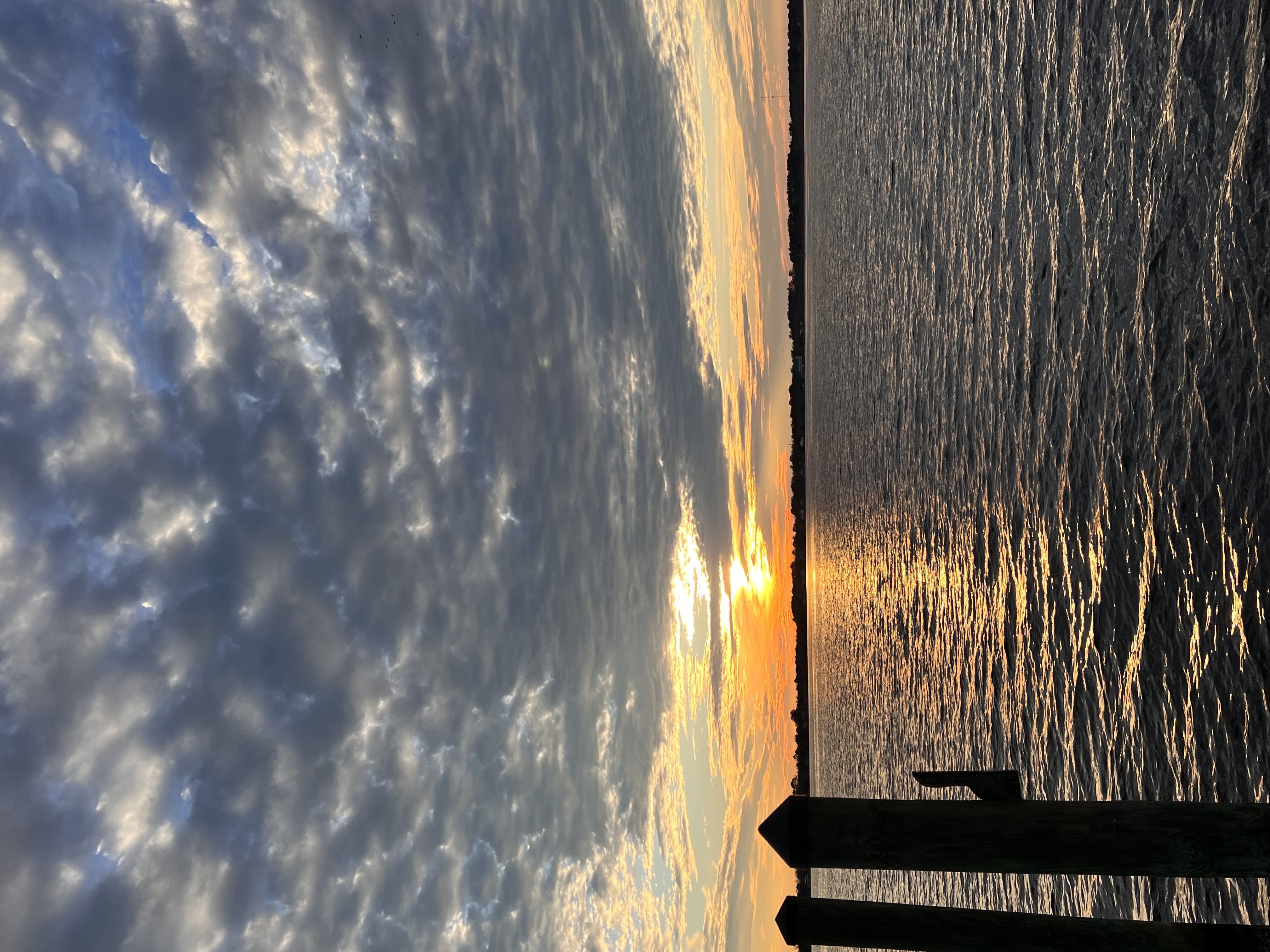 ./2023/01 - New Bern/IMG_6126.JPG